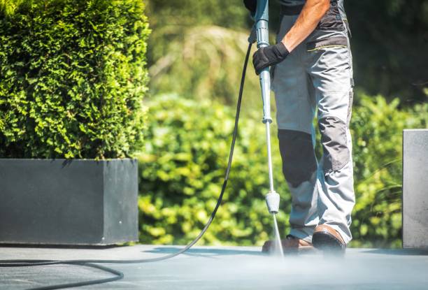 Best Graffiti Removal  in Pomona, NJ